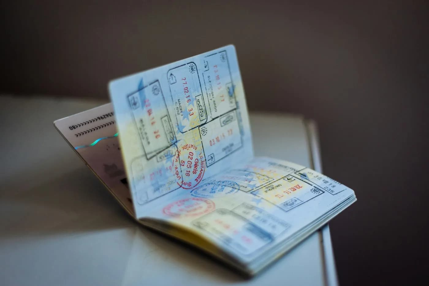 United Arab Emirates Visit Visa: Updated Entry Rules for 2026, Warda Tourism