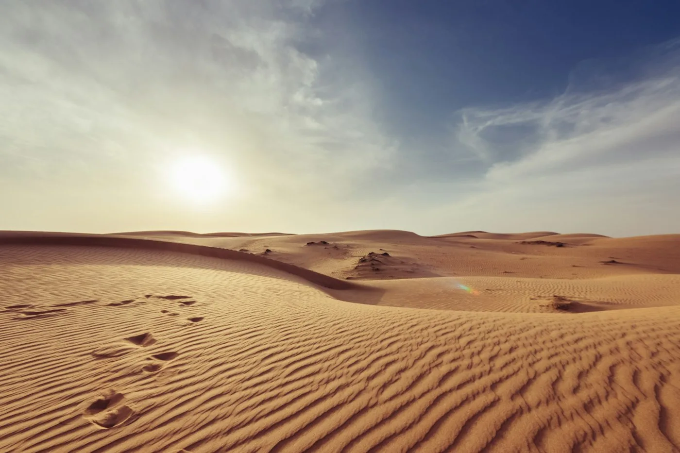 Dubai Desert, Dubai